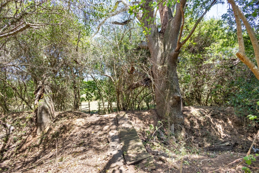 Commercial Property for Sale in Wittedrift Western Cape